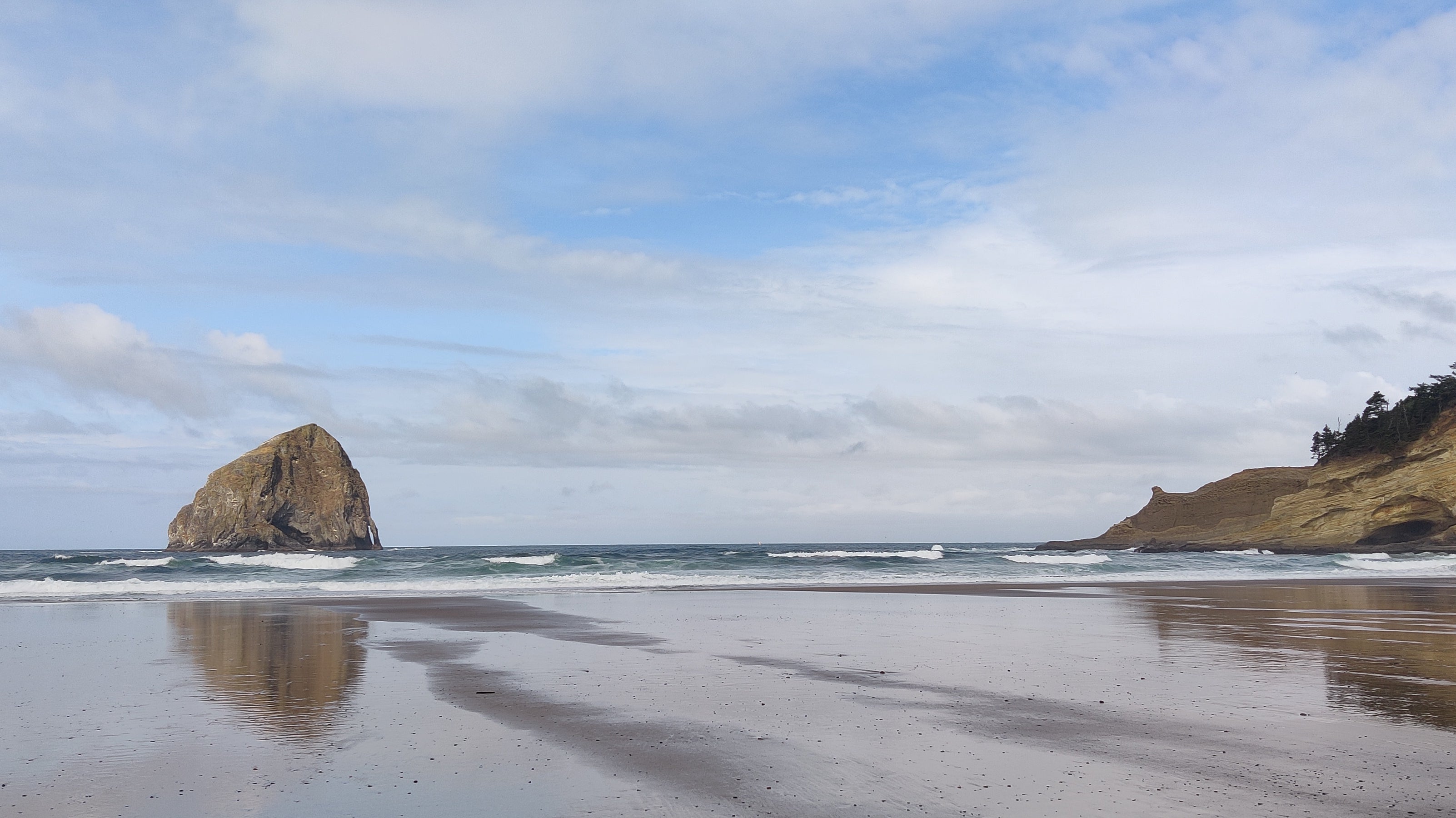 Summer in the Studio