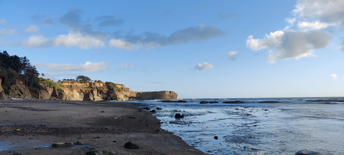 Otter Crest Beach