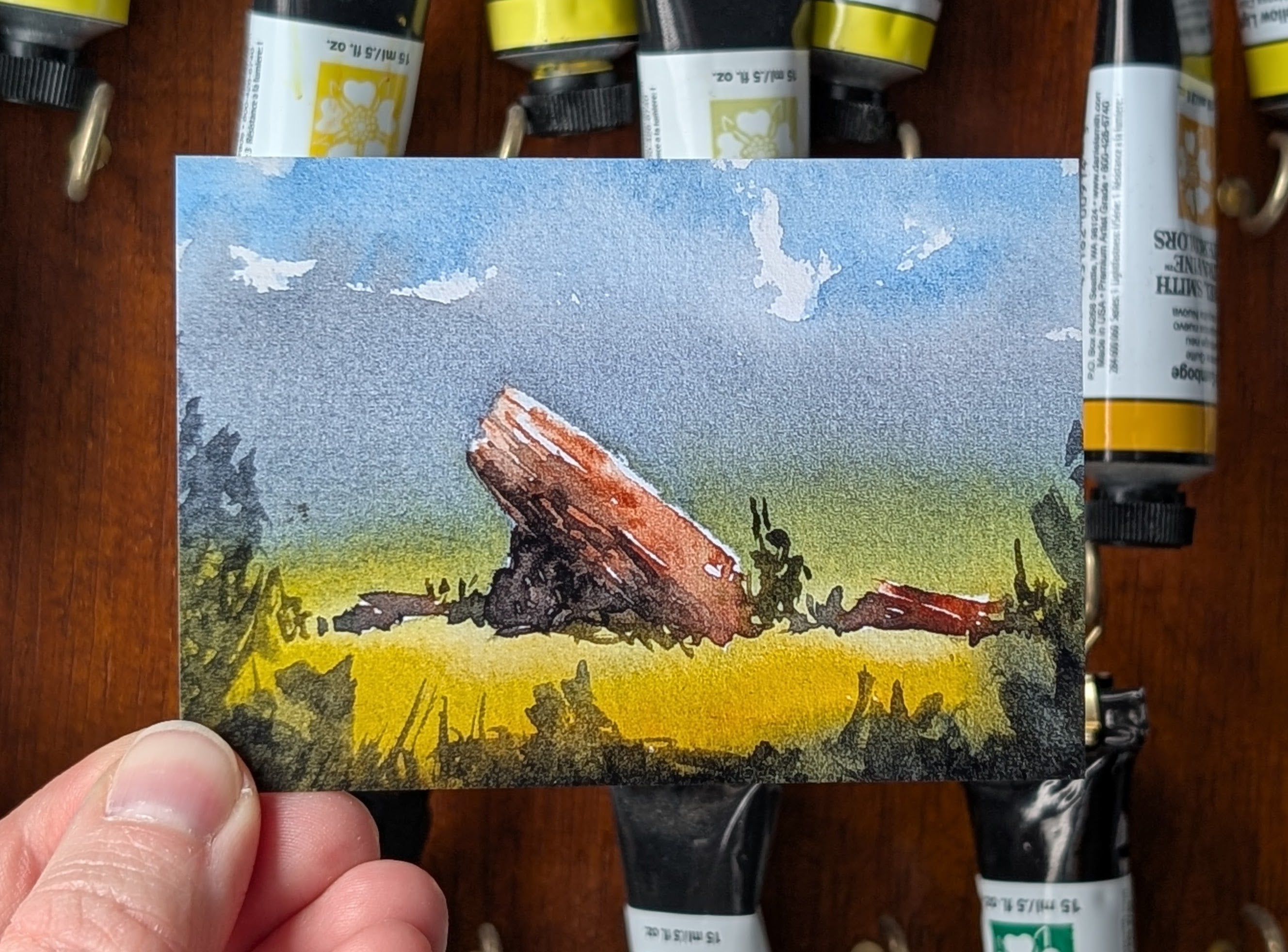 ACEOs: Breathing New Life Into My Artistic Journey