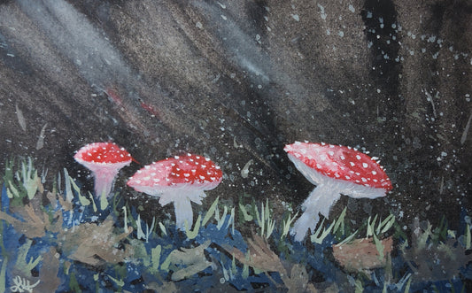 Forest Mushrooms in the Morning