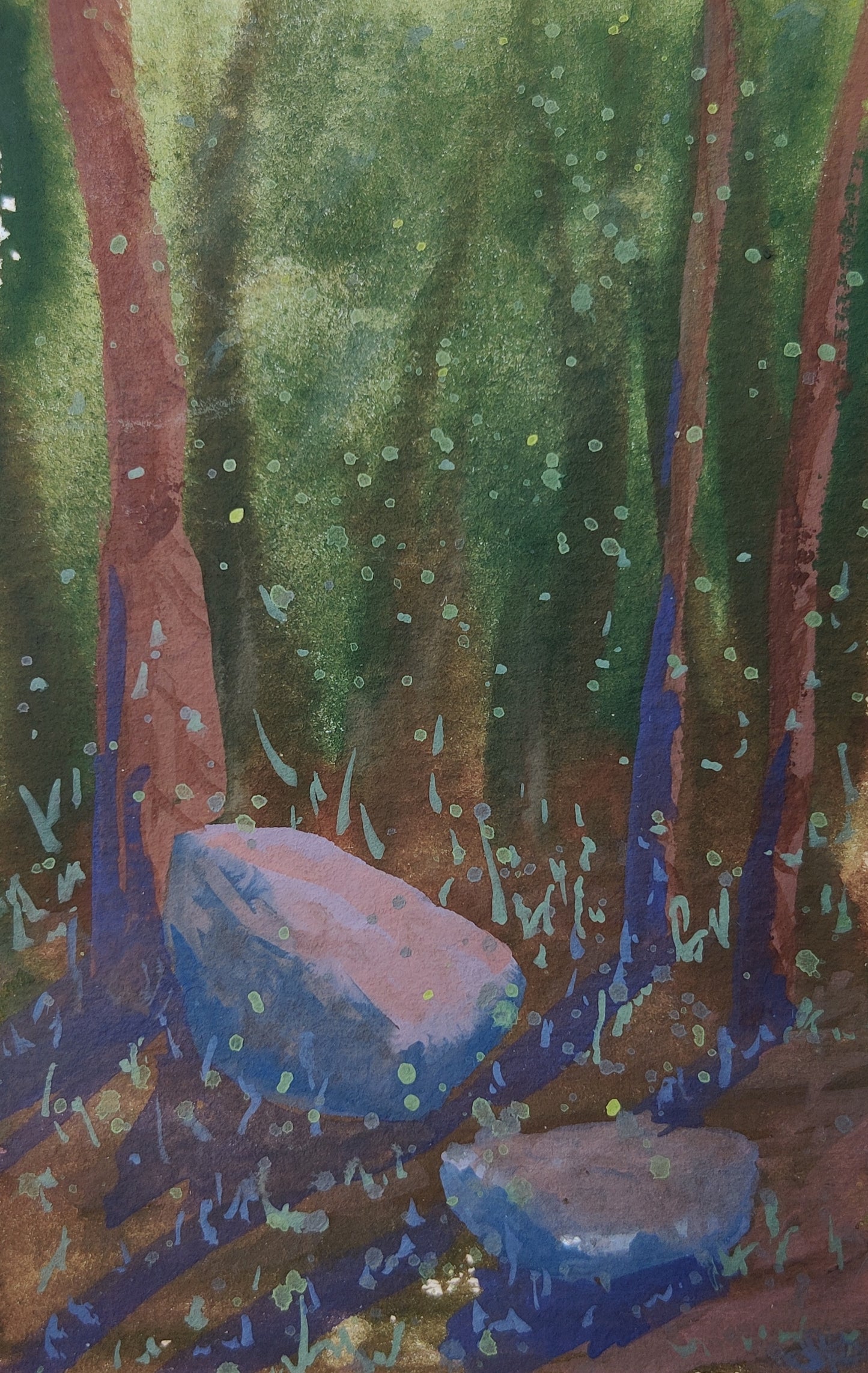 Forest Stones in Shadow