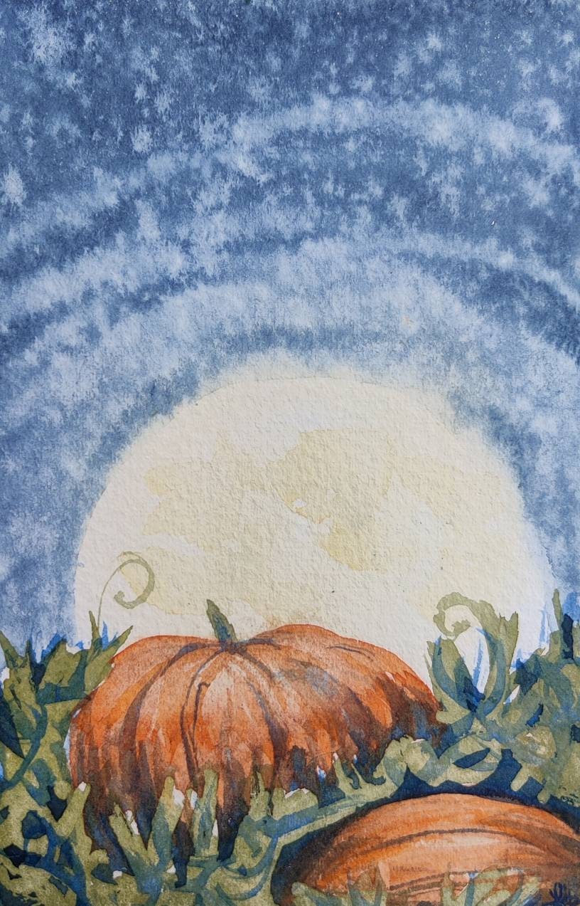 Pumpkin Patch in Burnt Orange