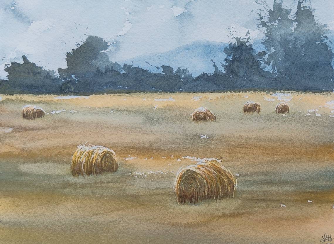 Summer Bales