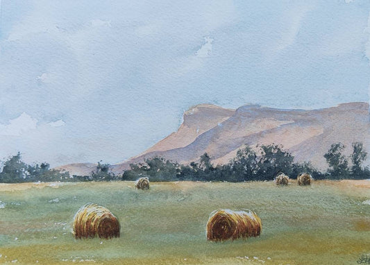 Bales at Palisade