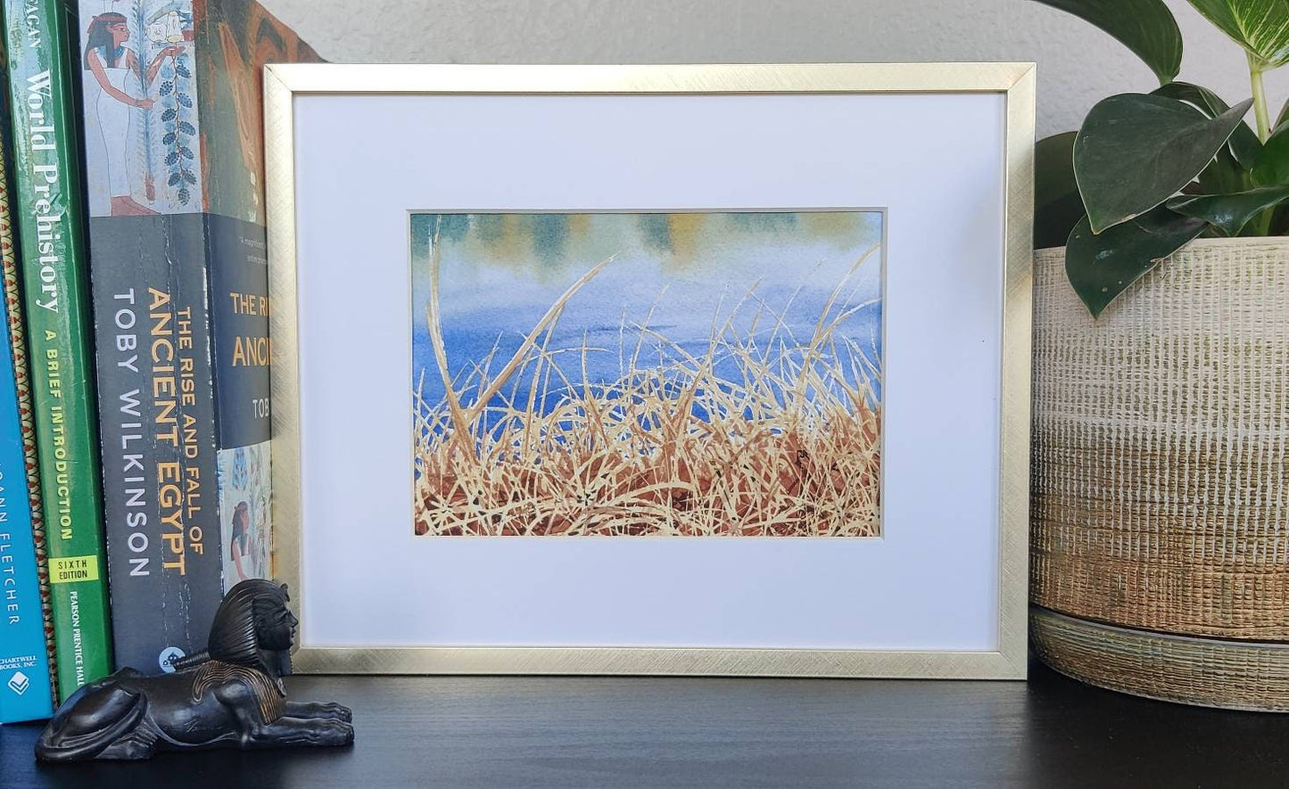 Marsh Grasses