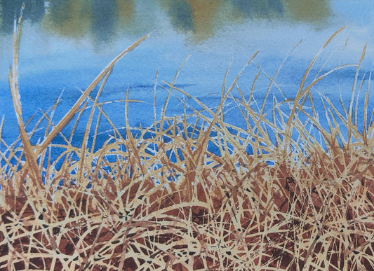 Marsh Grasses